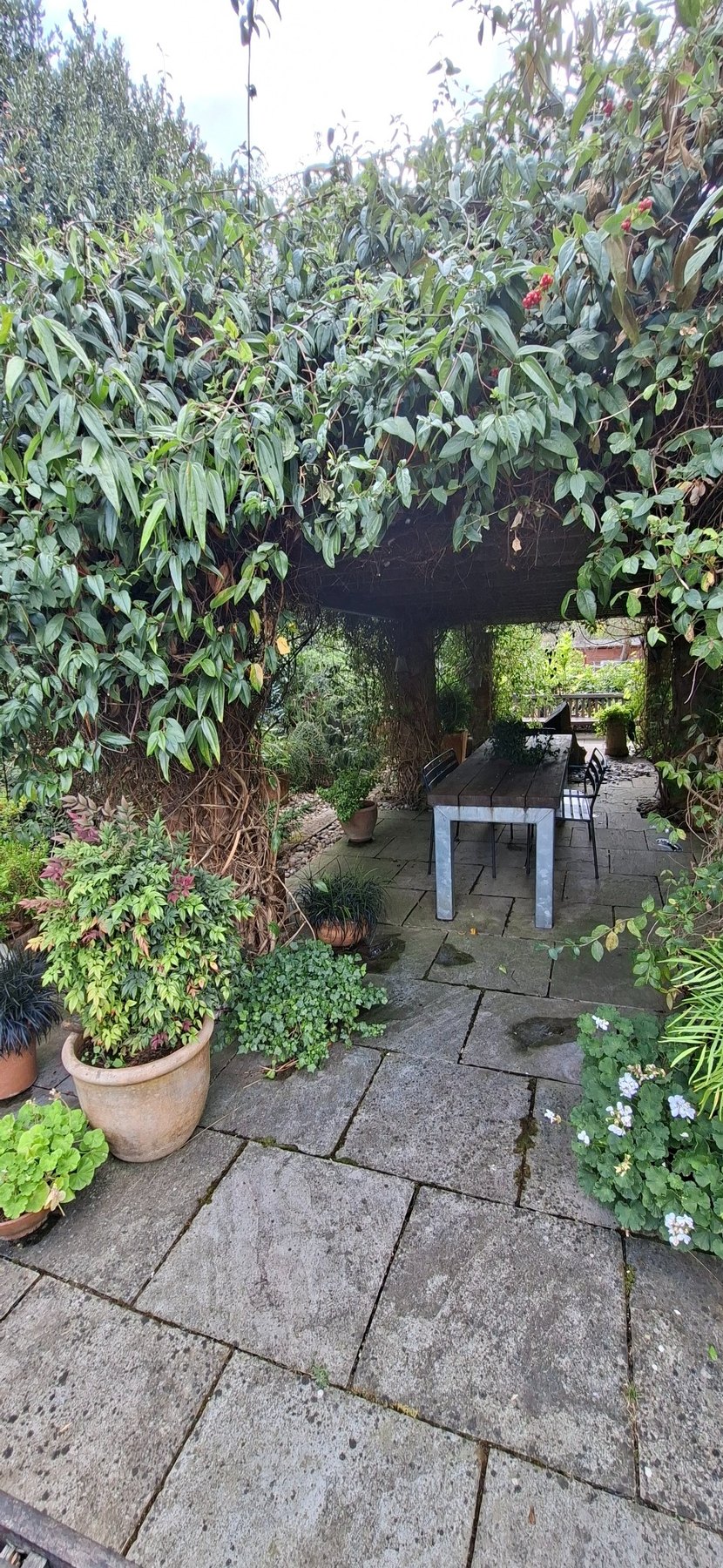 A secluded garden table beneath a leafy canopy