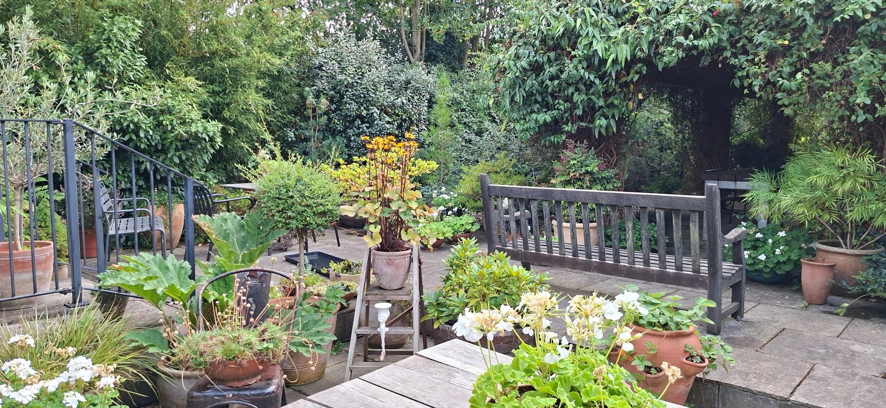 Layered terrace planting and seating beneath a leafy arch