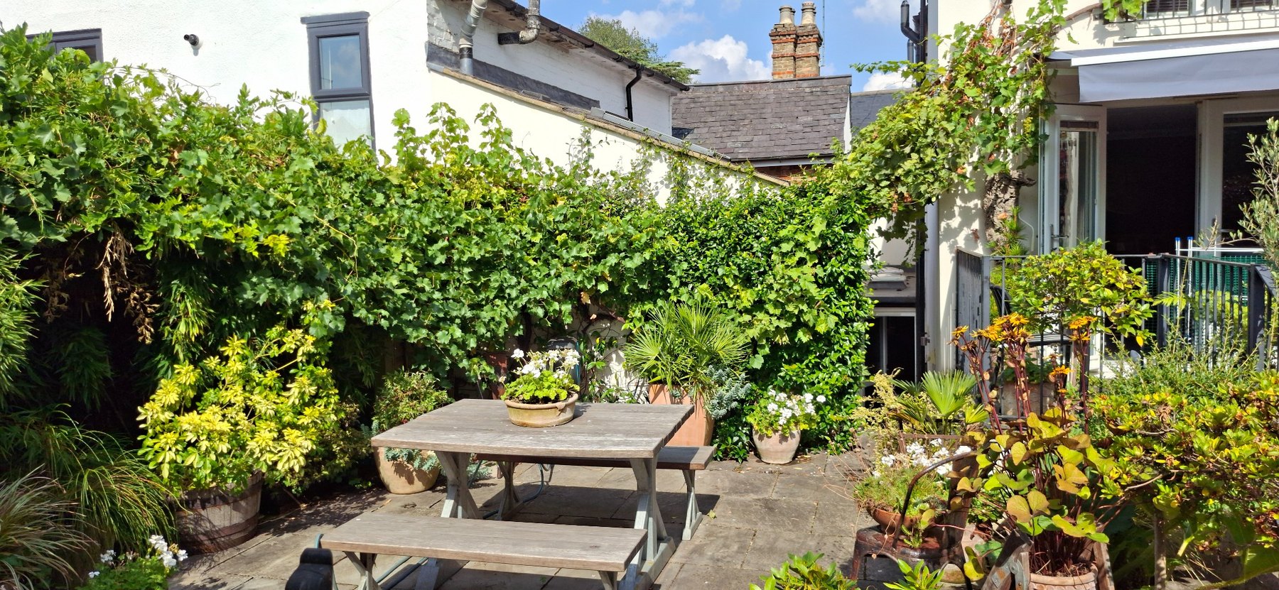 Sunlit garden dining table surrounded by lush planting