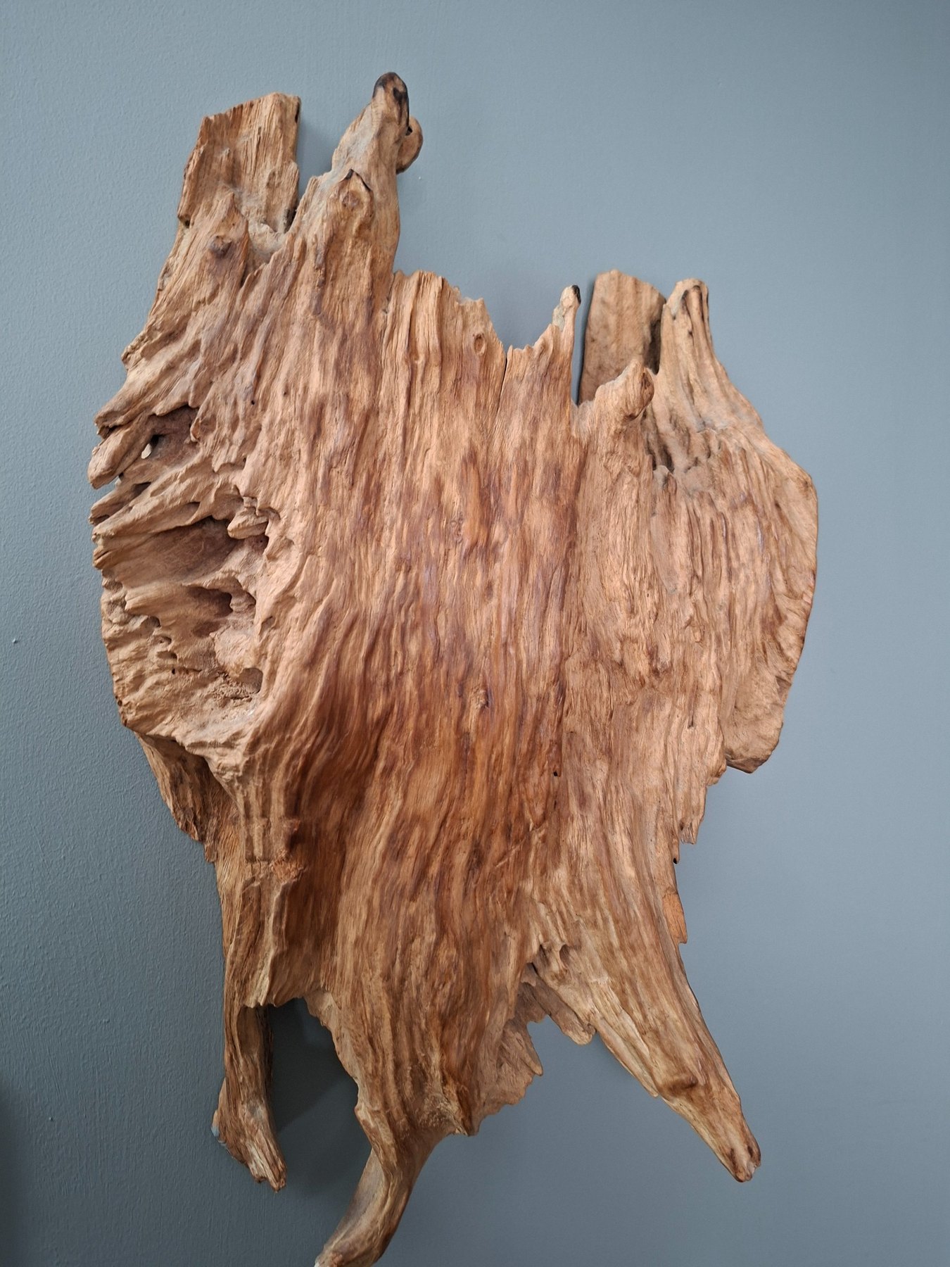 Organic natural timber artwork displayed at Havisham House