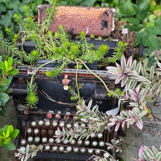 An antique typewriter reclaimed by plants in the garden